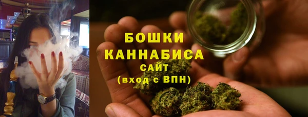 мдпв Мегион