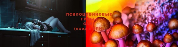 кокс Магадан
