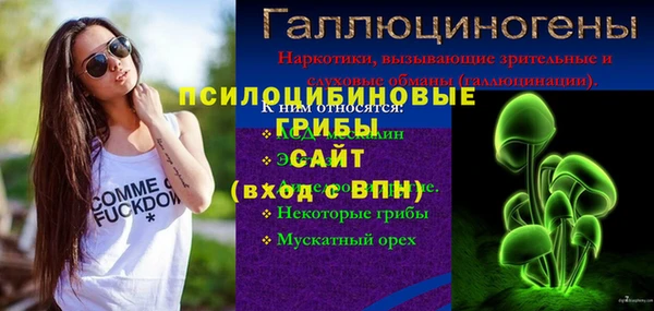 мдпв Мегион