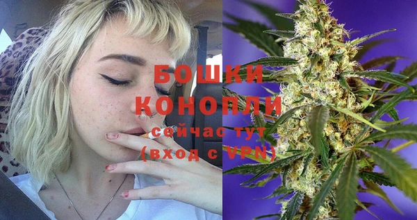 мдпв Мегион
