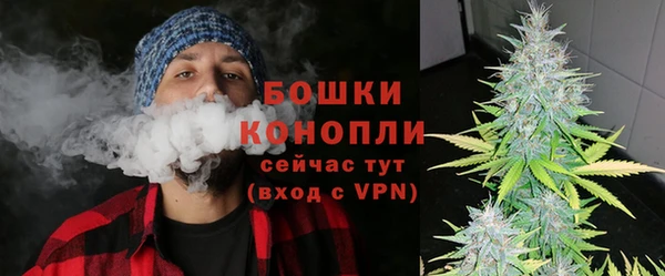 мдпв Мегион
