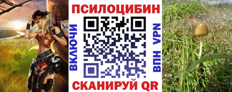 Купить  Кинешма  Псилоцибиновые грибы Cubensis 
